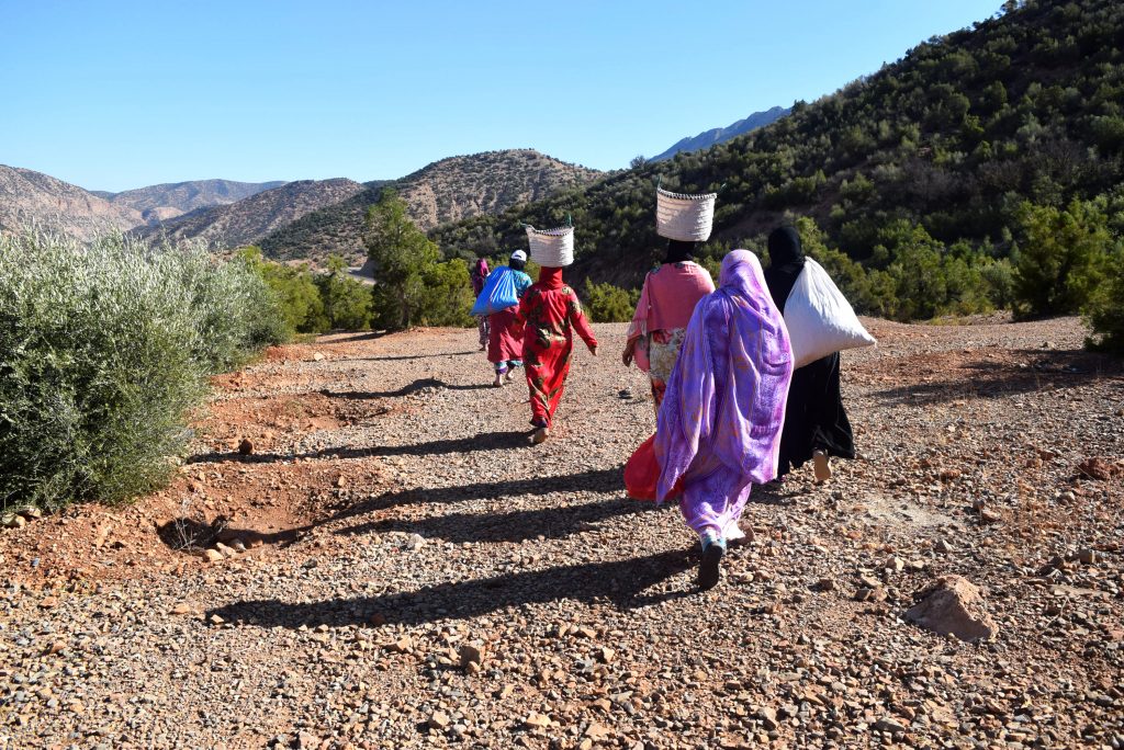 EBM - women carrying buckets of argan fruit on their head