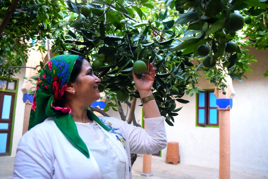 EBM - woman reaching to fruit on tree