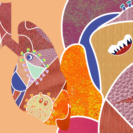 Coronavirus-inspired illustration with warm palette and cartoon styled illustrations with lung outline by Emma Blake Morsi