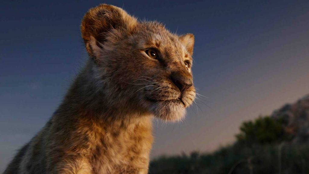 Live-action remake of Simba from Disney's The Lion King 2019